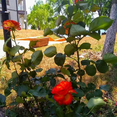 Apartment Private A12 In July Morning Seaside *